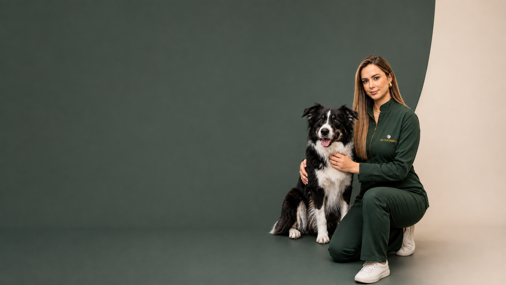 Veterinária da Veterinarii acomodando um border collie durante o atendimento